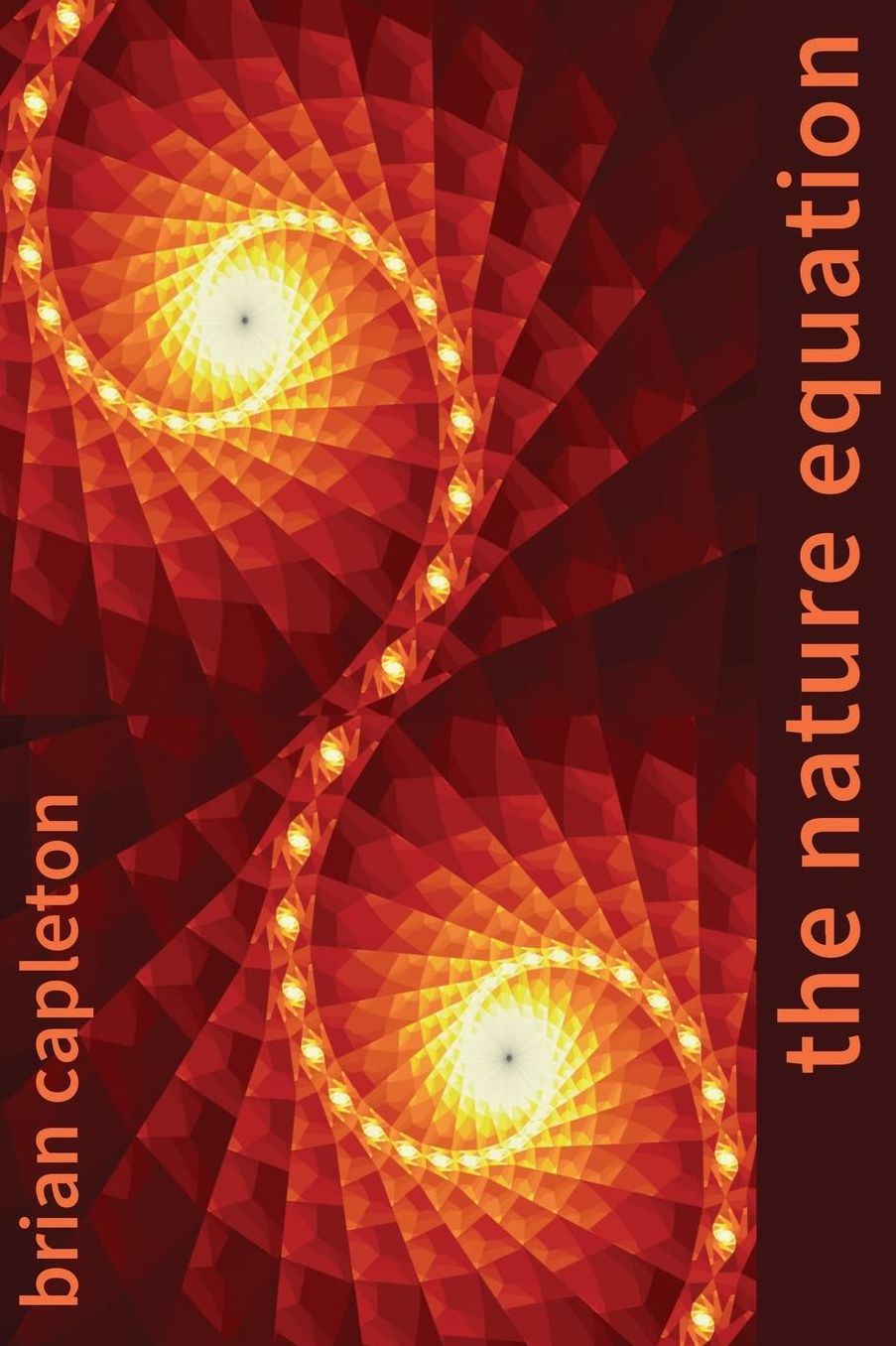 The Nature Equation: Nature, Mathematics and Metaphor