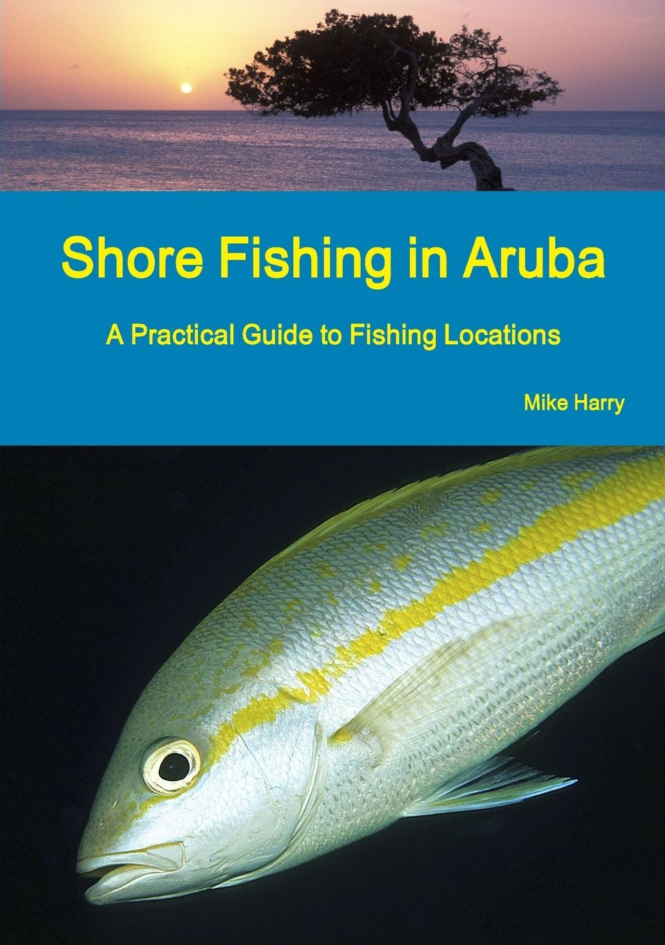 Shore Fishing in Aruba