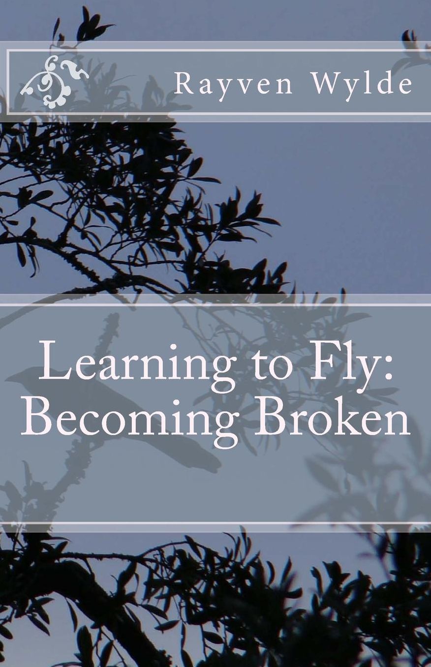 Learning to Fly: Becoming Broken