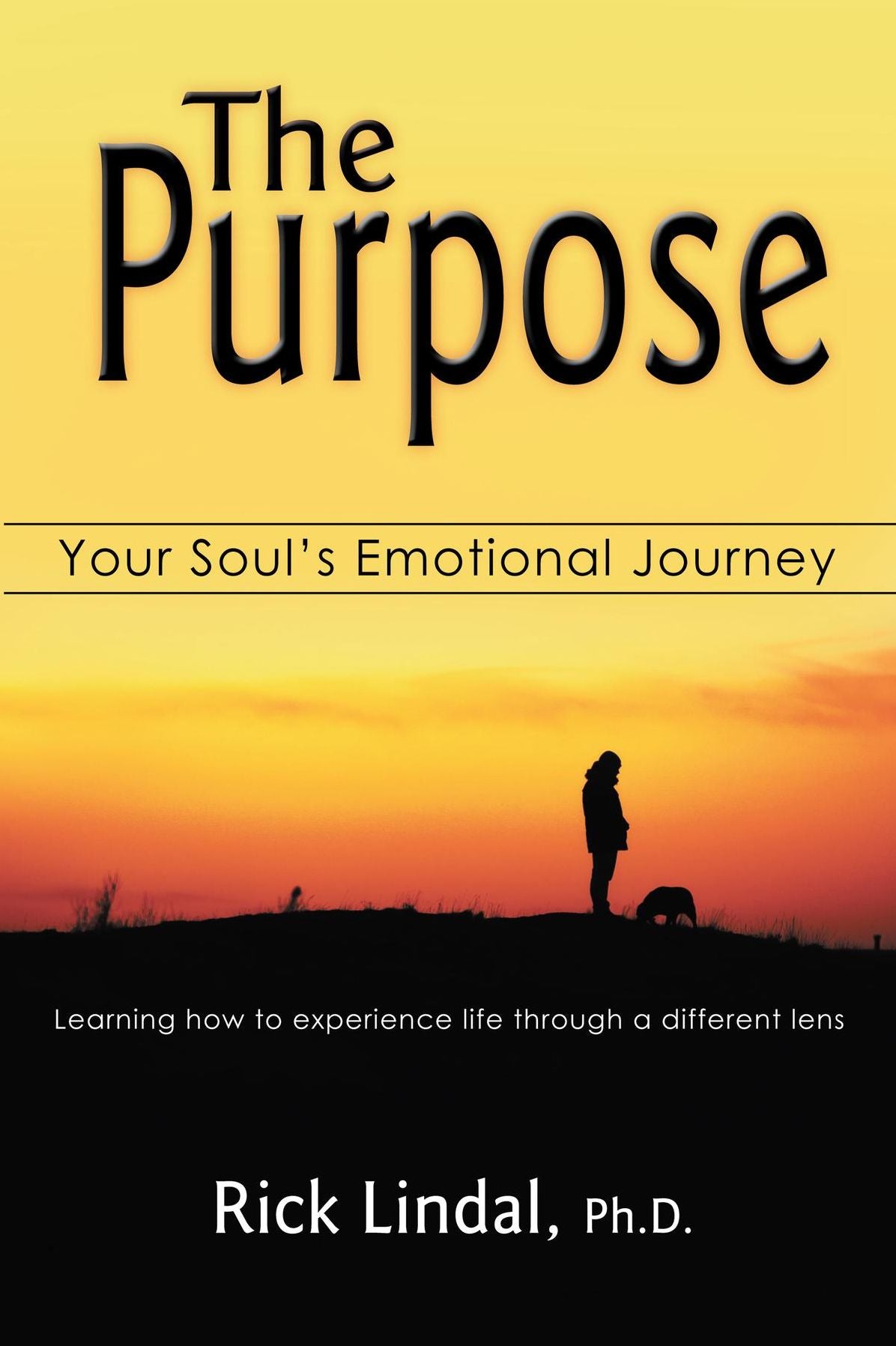 The Purpose: Your Soul's Emotional Journey: Learning How to Experience Life Through a Different Lens
