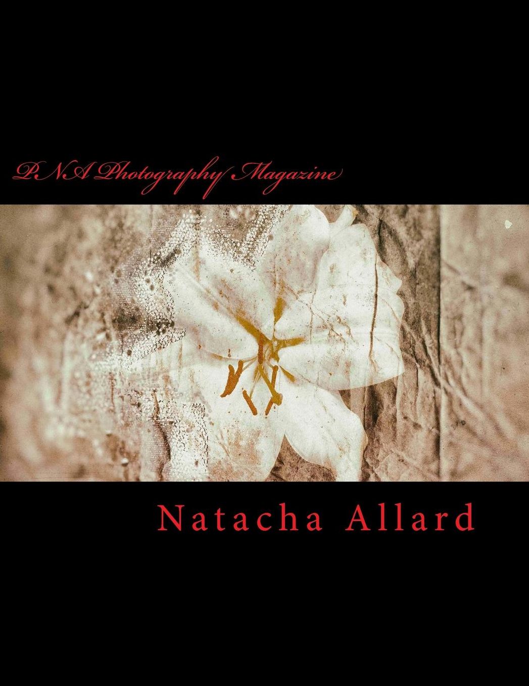 PNA Photography Magazine: Photo Art