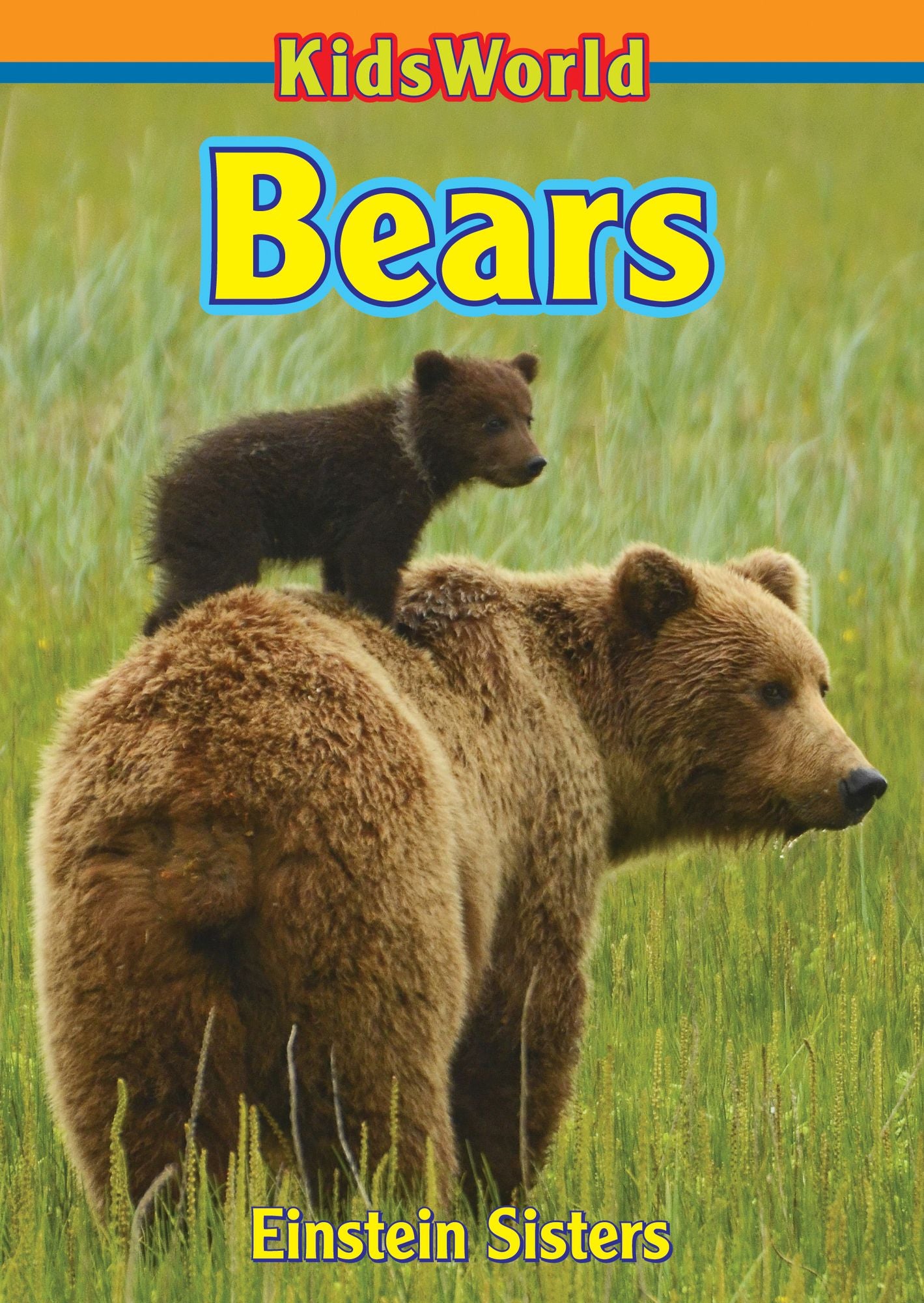 Bears