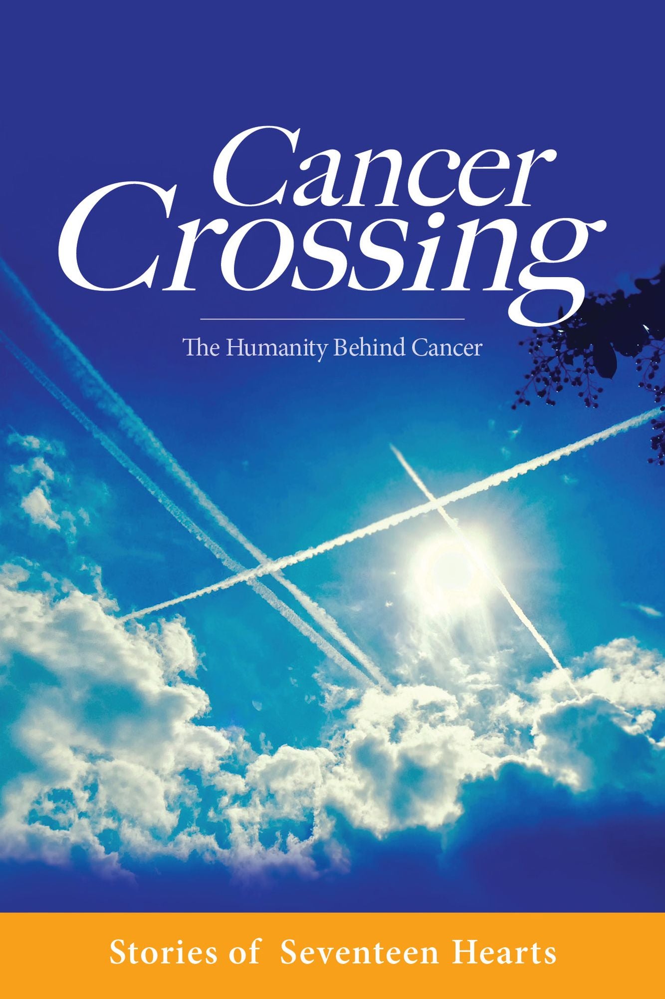 Cancer Crossing: Stories of Seventeen Hearts (PagePerfect NOOK Book)