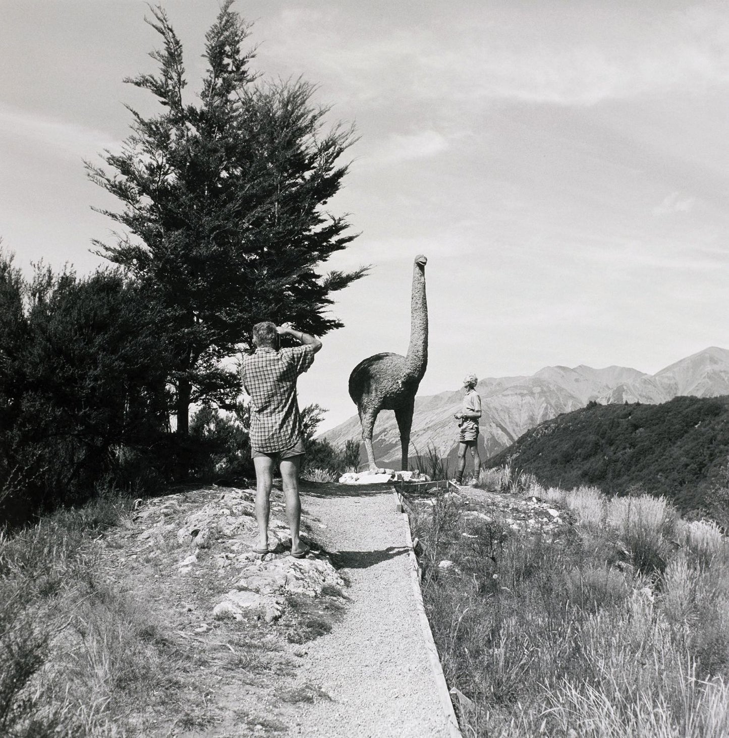 New Zealand Photography Collected