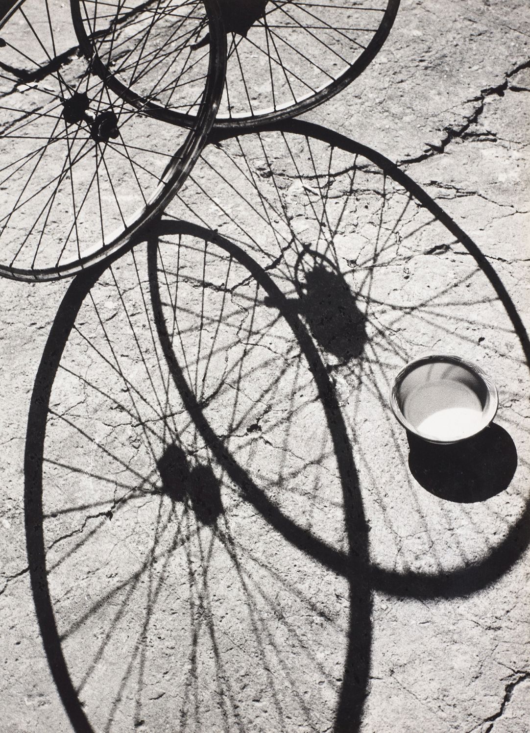 New Zealand Photography Collected