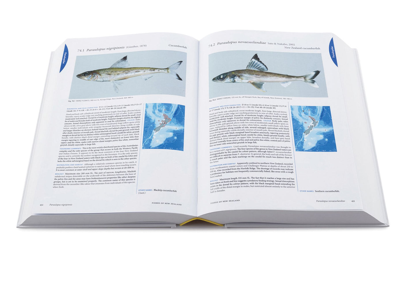 The Fishes of New Zealand: A Comprehensive Guide