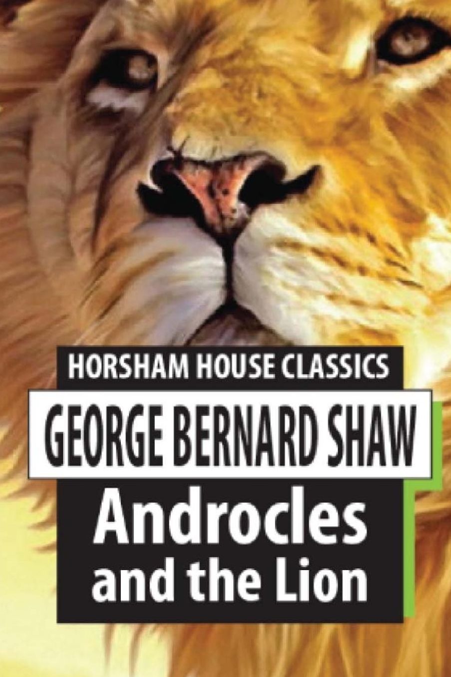 Androcles and the Lion