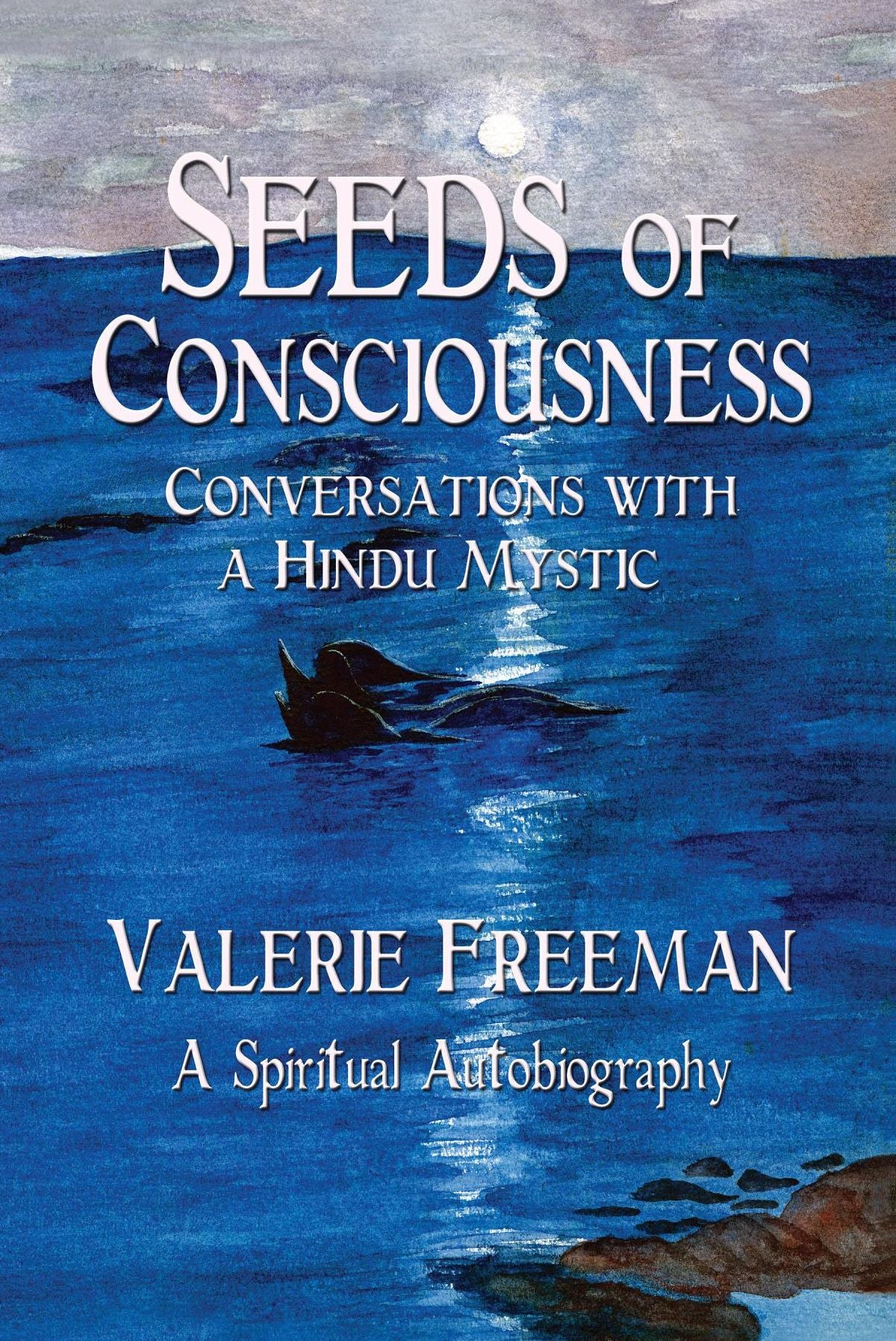 Seeds of Consciousness: Conversations with a Hindu Mystic