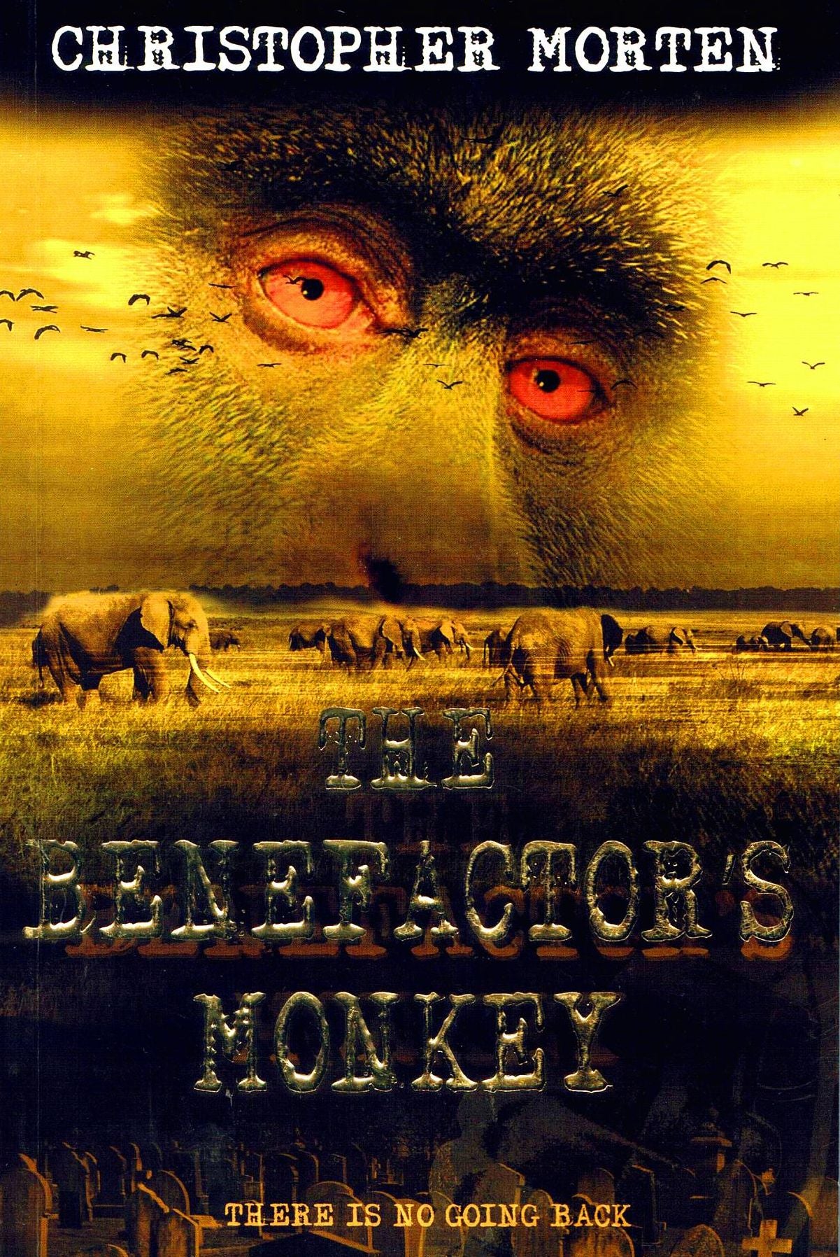 The Benefactor's Monkey: Was the world's deadliest virus actually man made and released deliberately?
