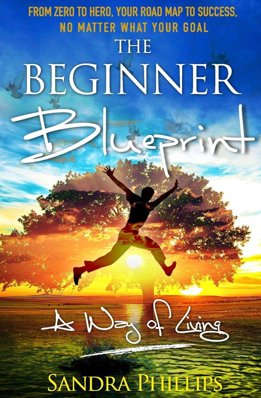 The Beginner Blueprint: From Zero to Hero, Your Road Map to Success, No Matter What Your Goal