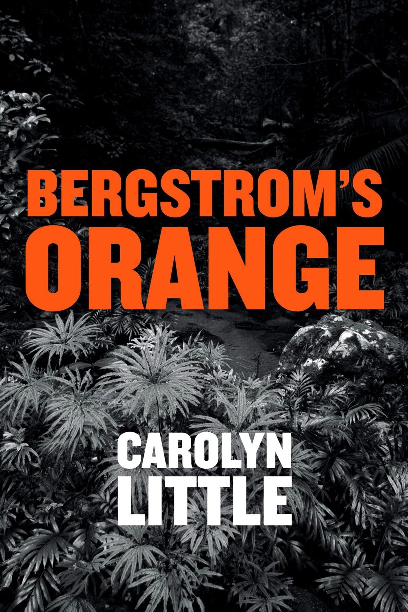 Bergstrom's Orange