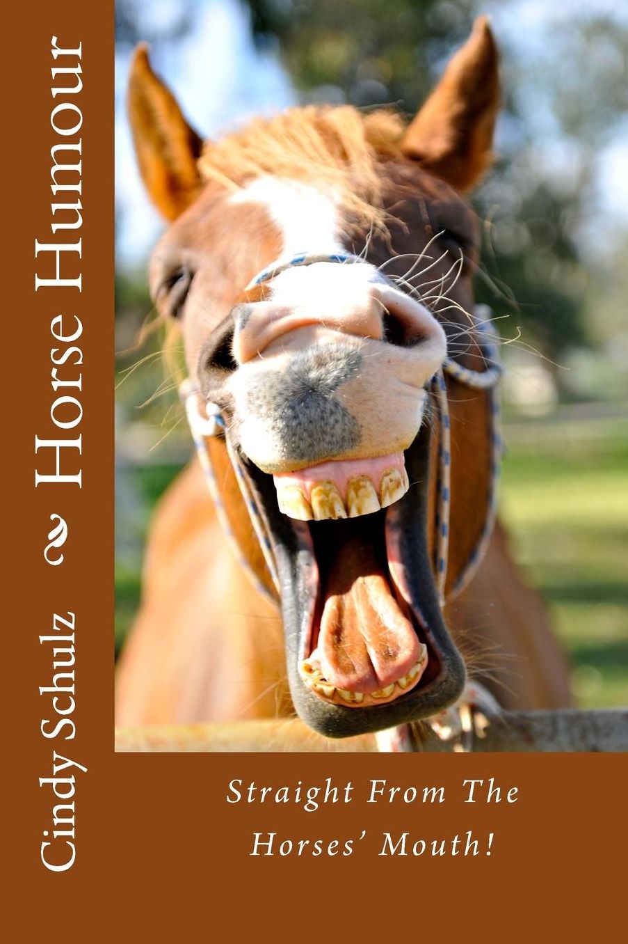 Horse Humour: Straight From The Horses Mouth!