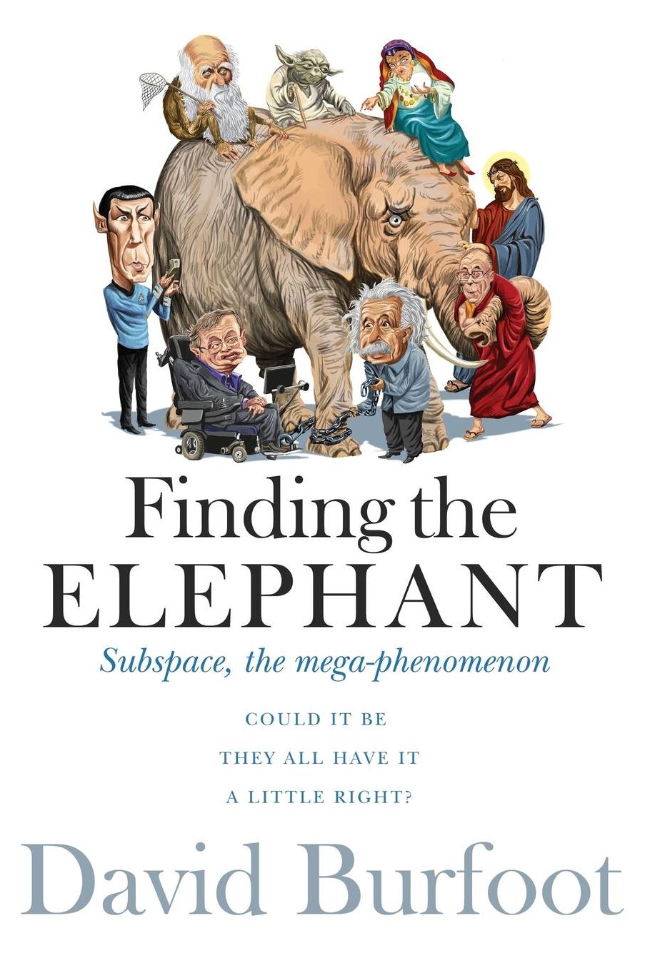 Finding the Elephant: Subspace, the Mega-phenomenon