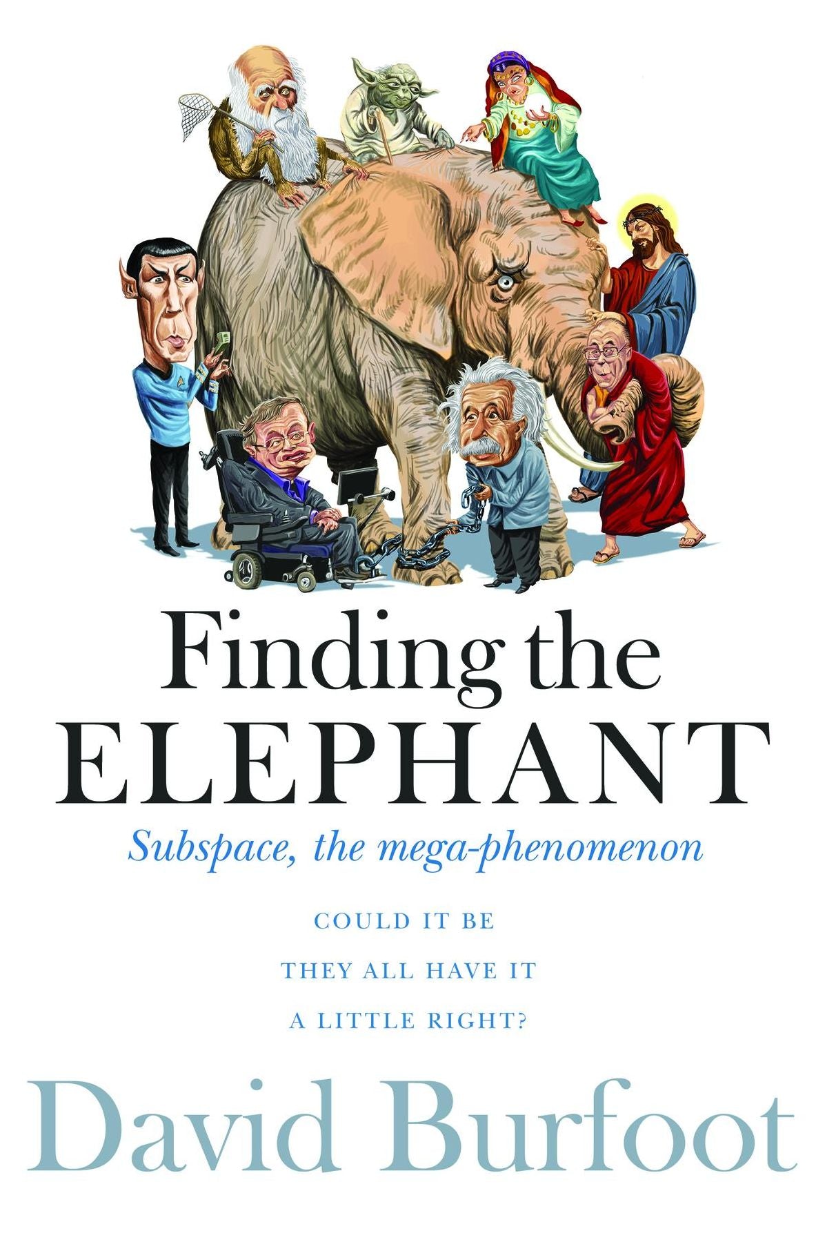 Finding the Elephant: Subspace, the Mega-phenomenon
