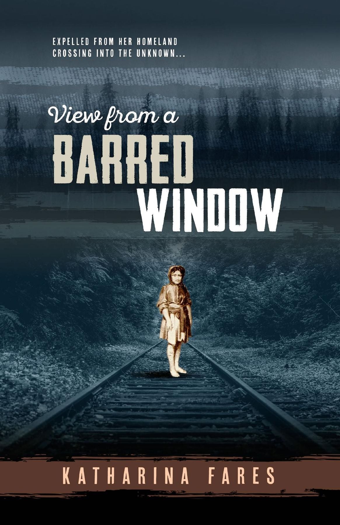 View from a Barred Window