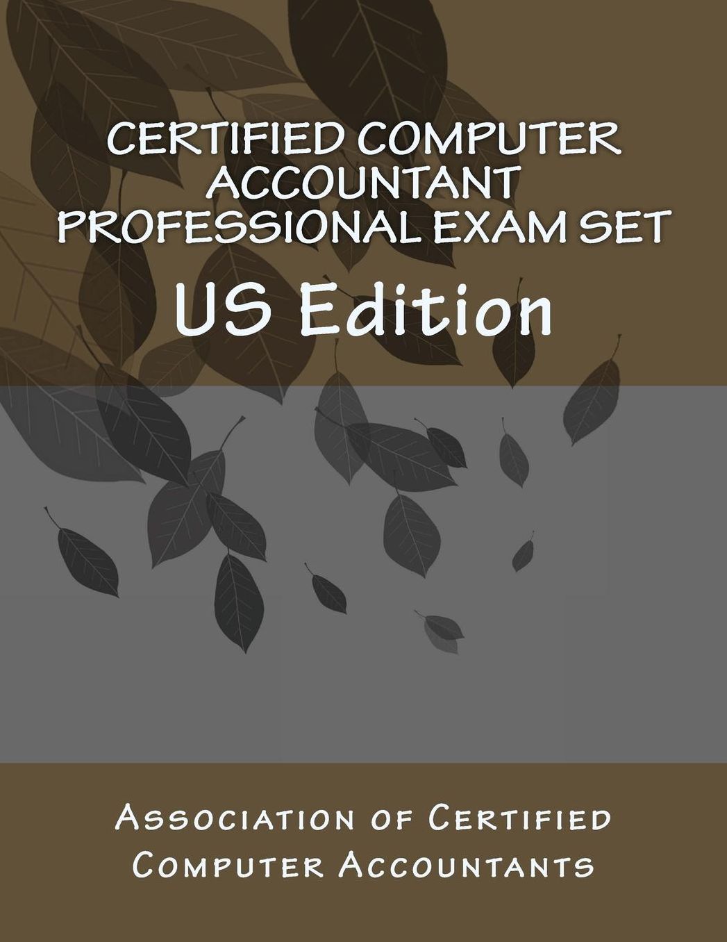 Certified Computer Accountant Professional Exam Set: US Edition
