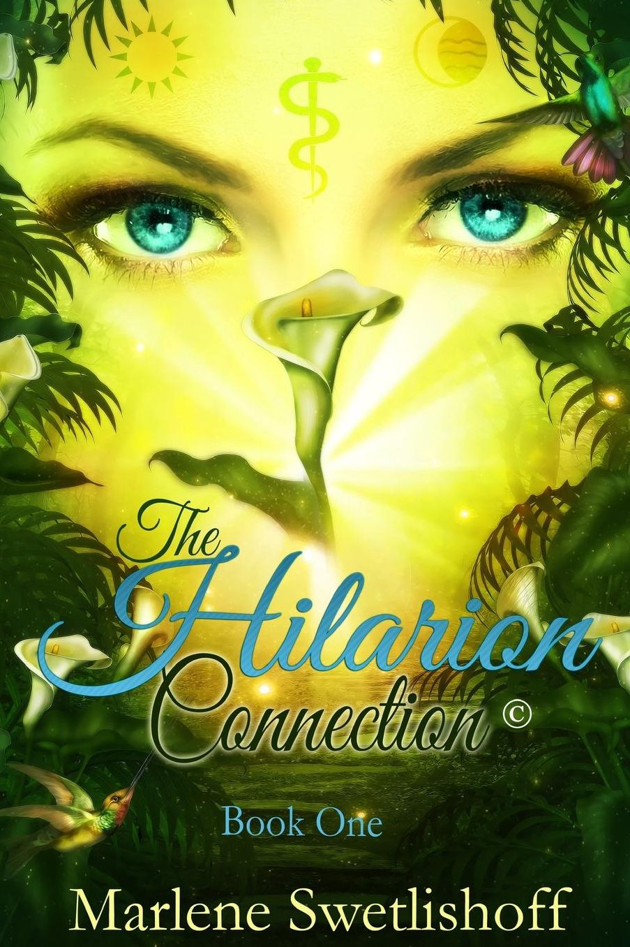 The Hilarion Connection, Book One