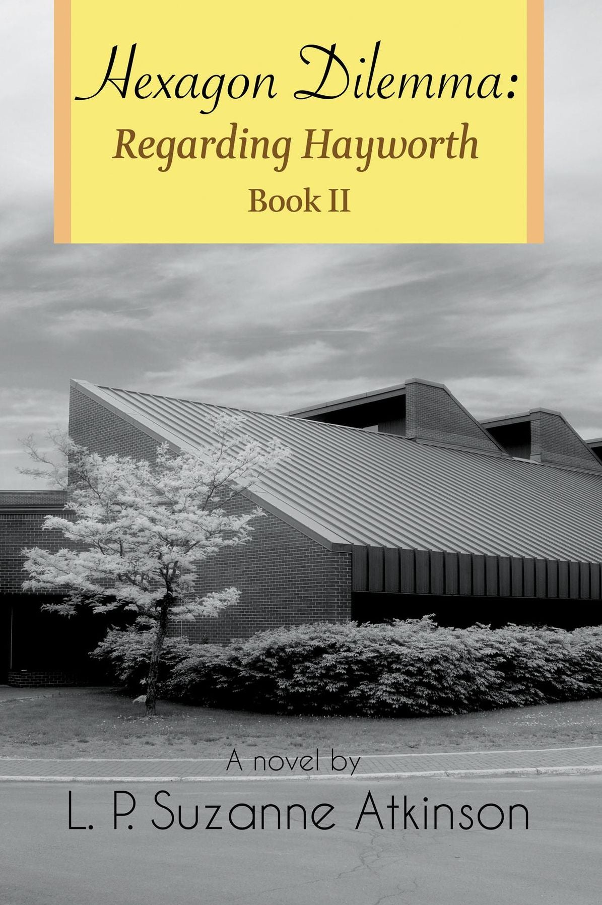 Hexagon Dilemma: Regarding Hayworth Book II