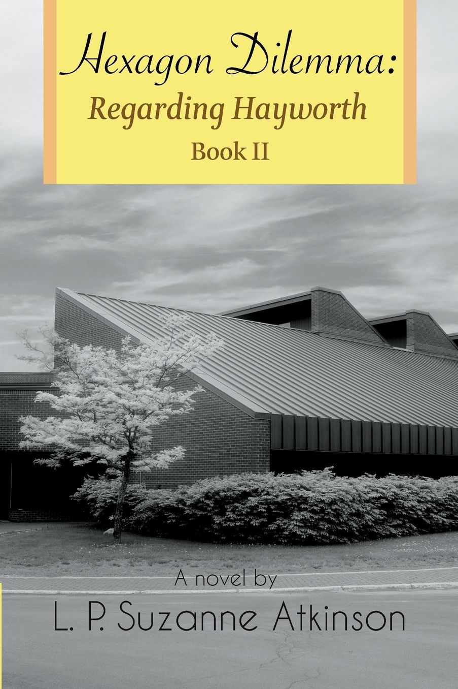 Hexagon Dilemma: Regarding Hayworth Book II