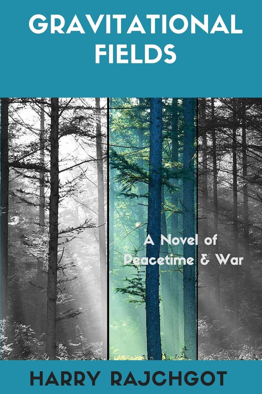 Gravitational Fields: A Novel of Peacetime and War