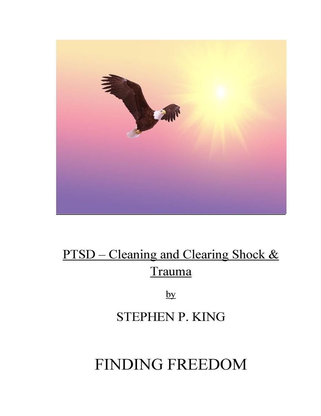 PTSD: Cleaning and Clearing Shock & Trauma: Finding Freedom