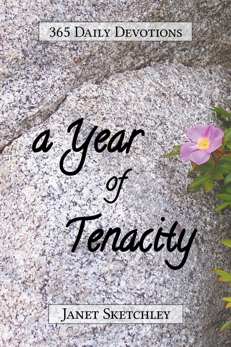 A Year of Tenacity: 365 Daily Devotions