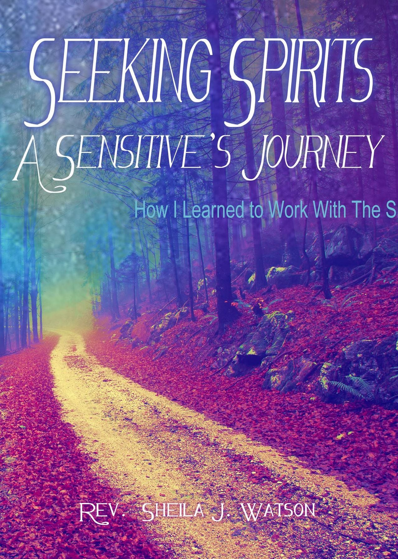 Seeking Spirits: A Sensitive's Journey: How I Learned to Work With the Spirit World