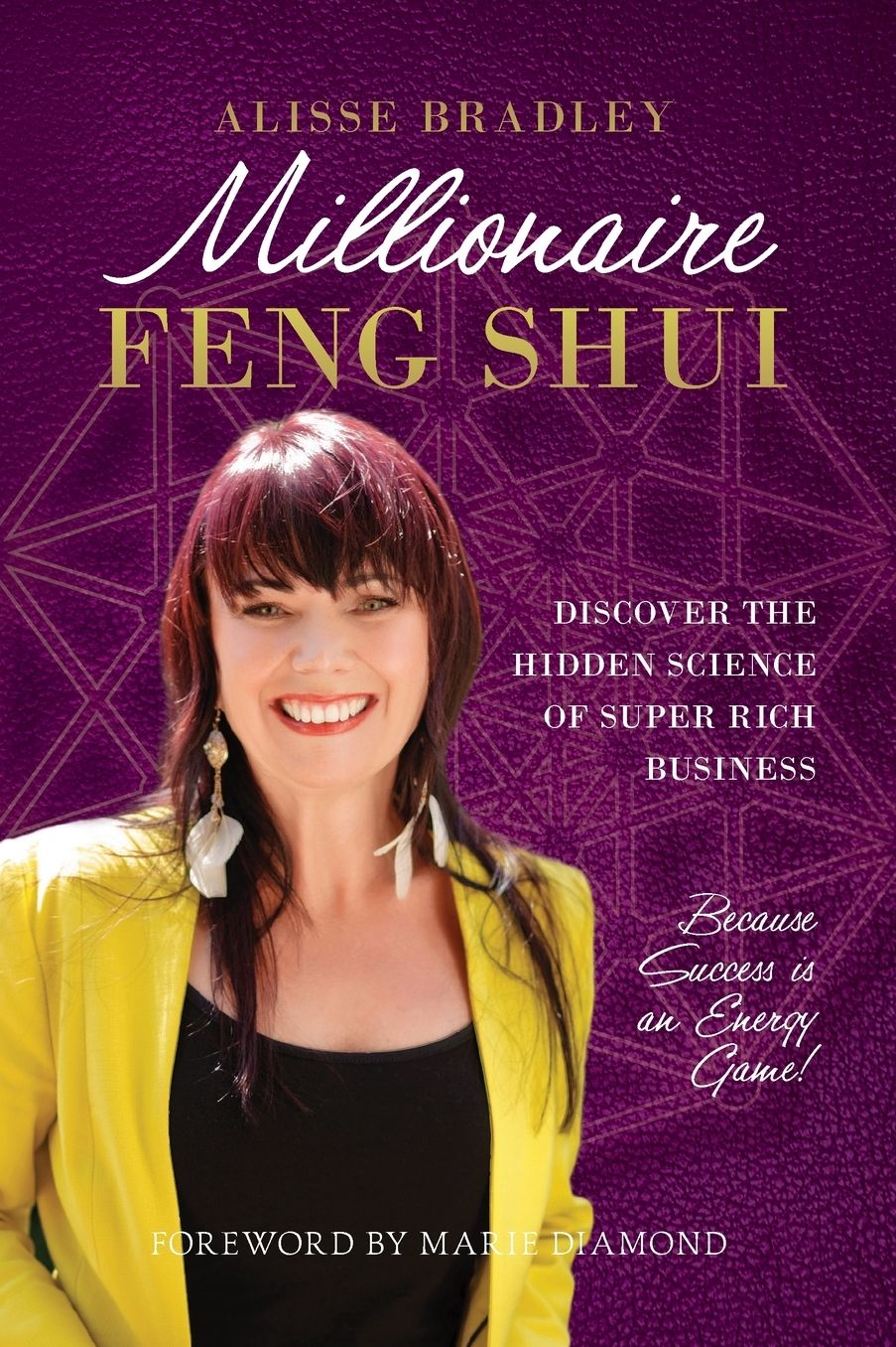 Millionaire Feng Shui: Discover the Hidden Science of Super Rich Business