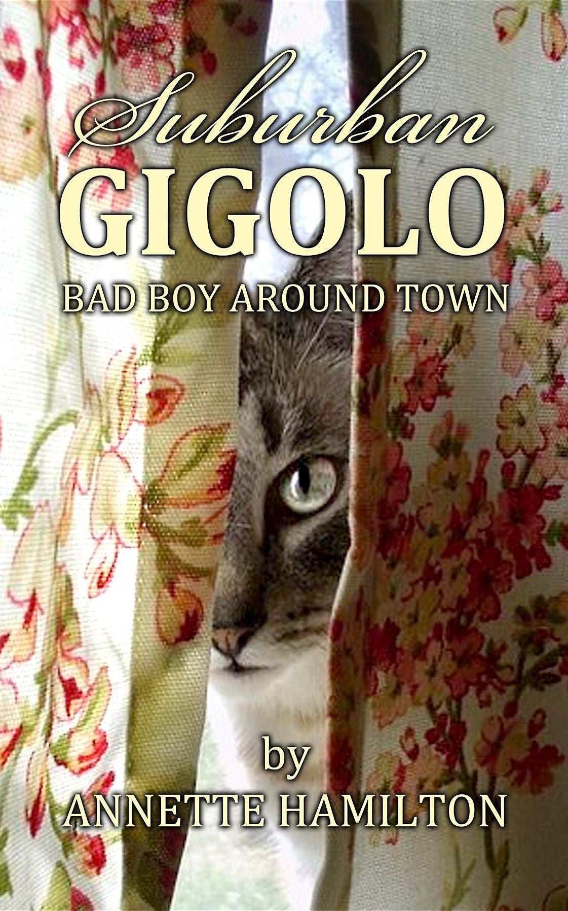 Suburban Gigolo: Bad Boy Around Town