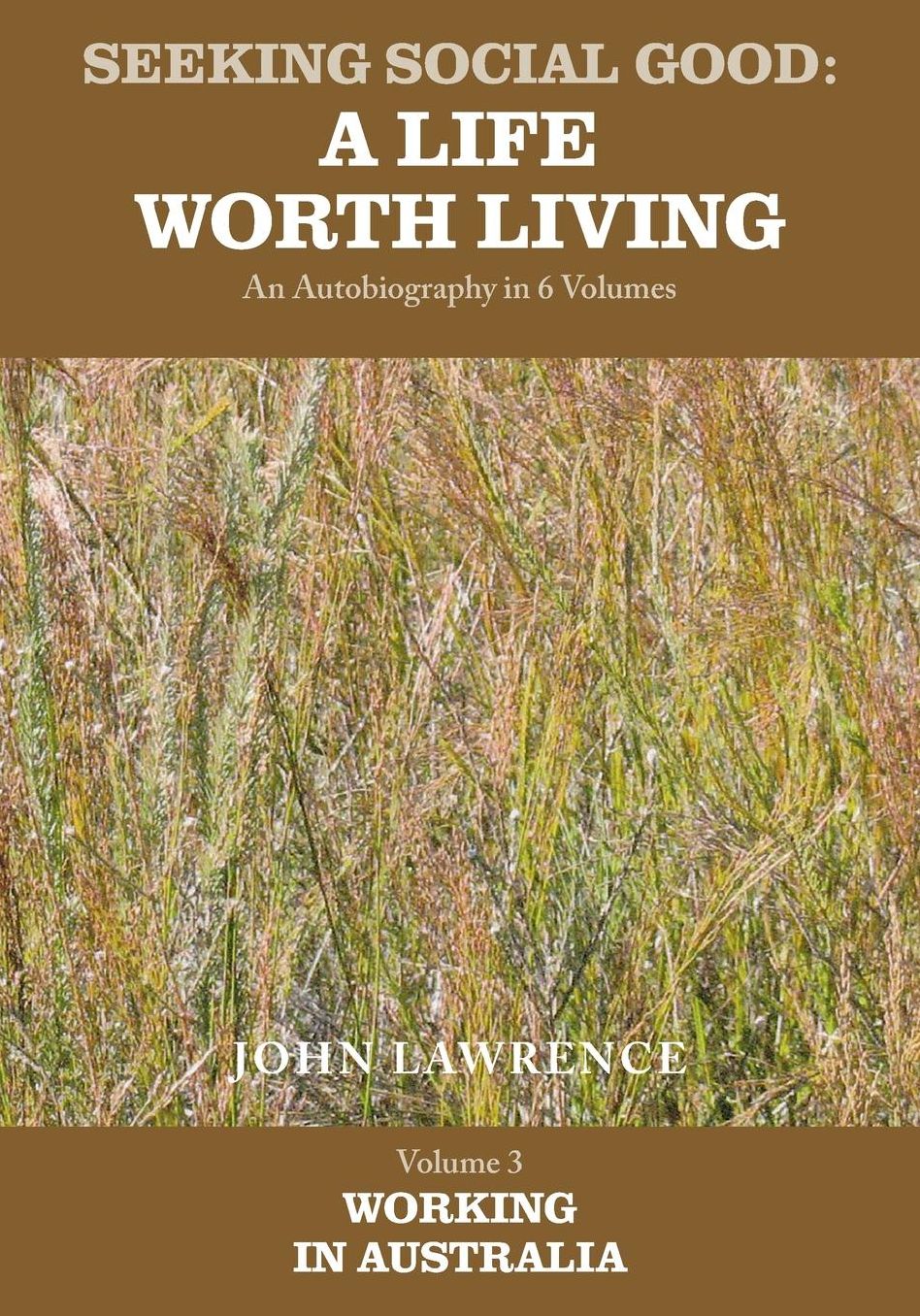 Seeking Social Good: A Life Worth Living - Volume 3: Working in Australia
