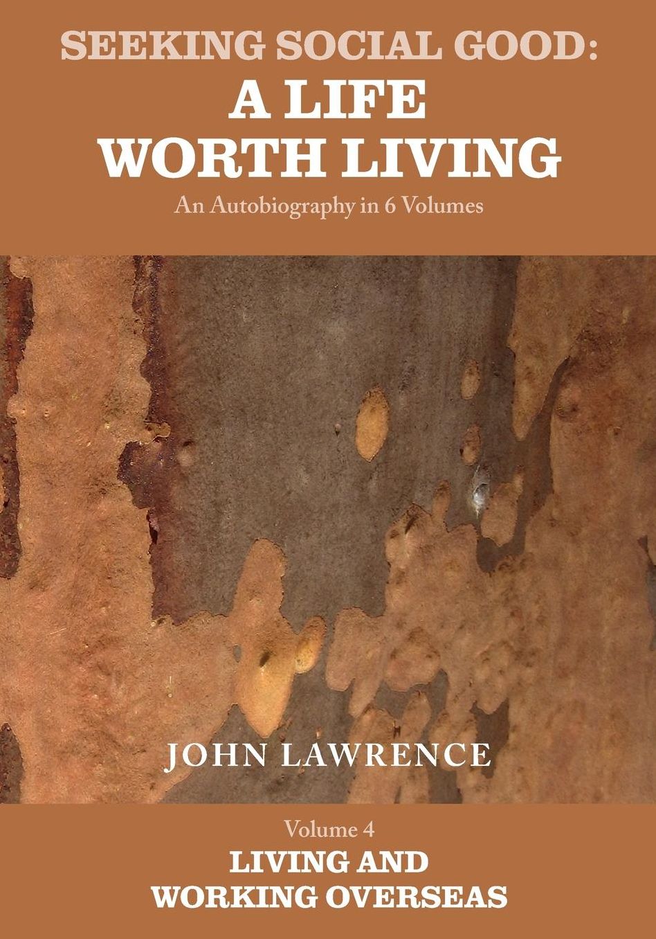 Seeking Social Good: A Life Worth Living - Volume 4: Living and Working Overseas