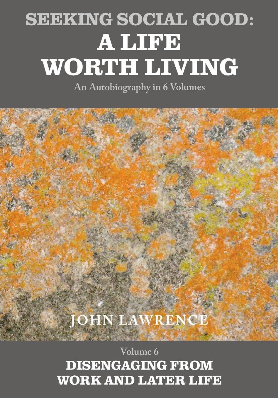 Seeking Social Good: A Life Worth Living - Volume 6: Disengaging from Work and Later Life