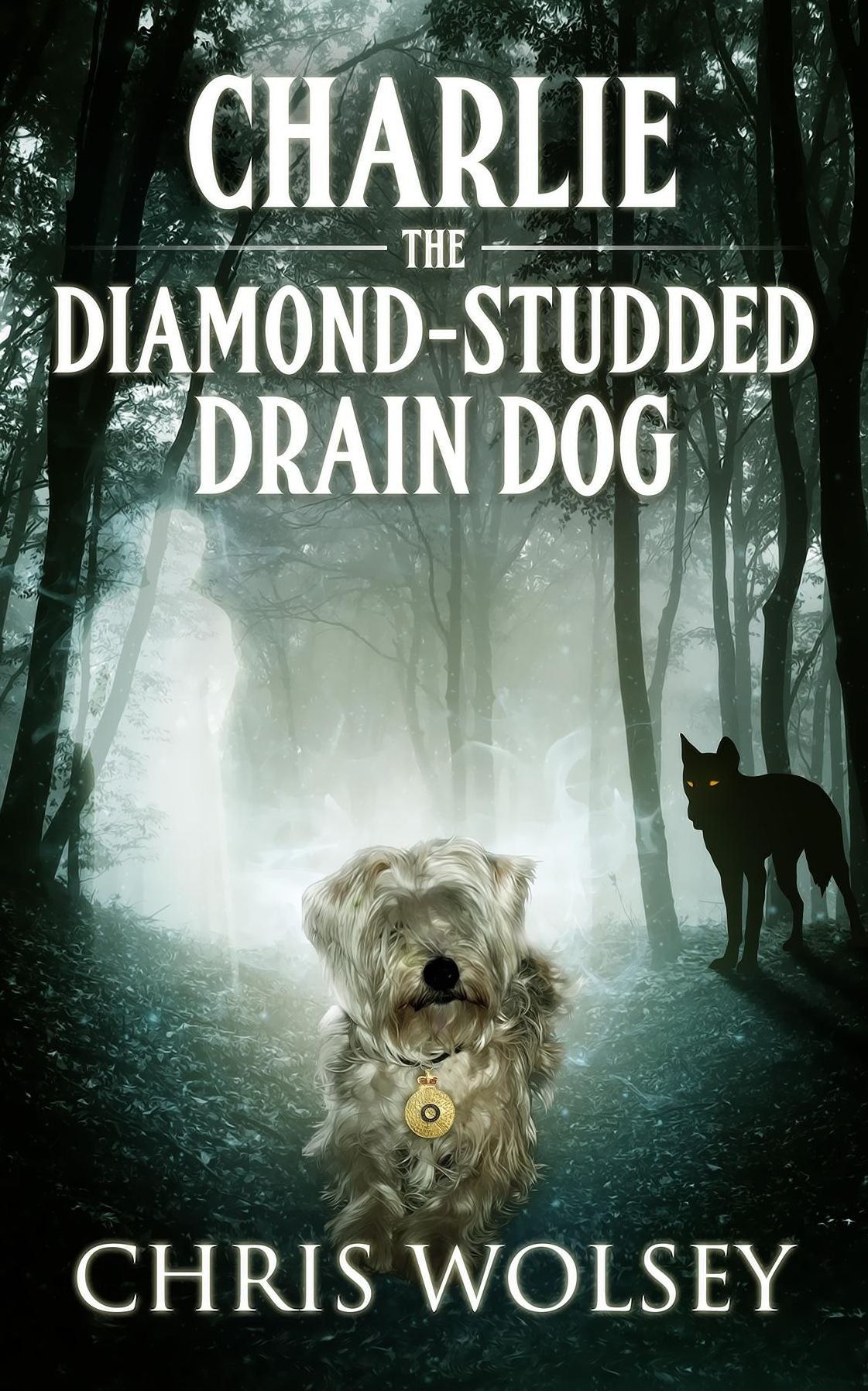 Charlie the Diamond-Studded Drain Dog