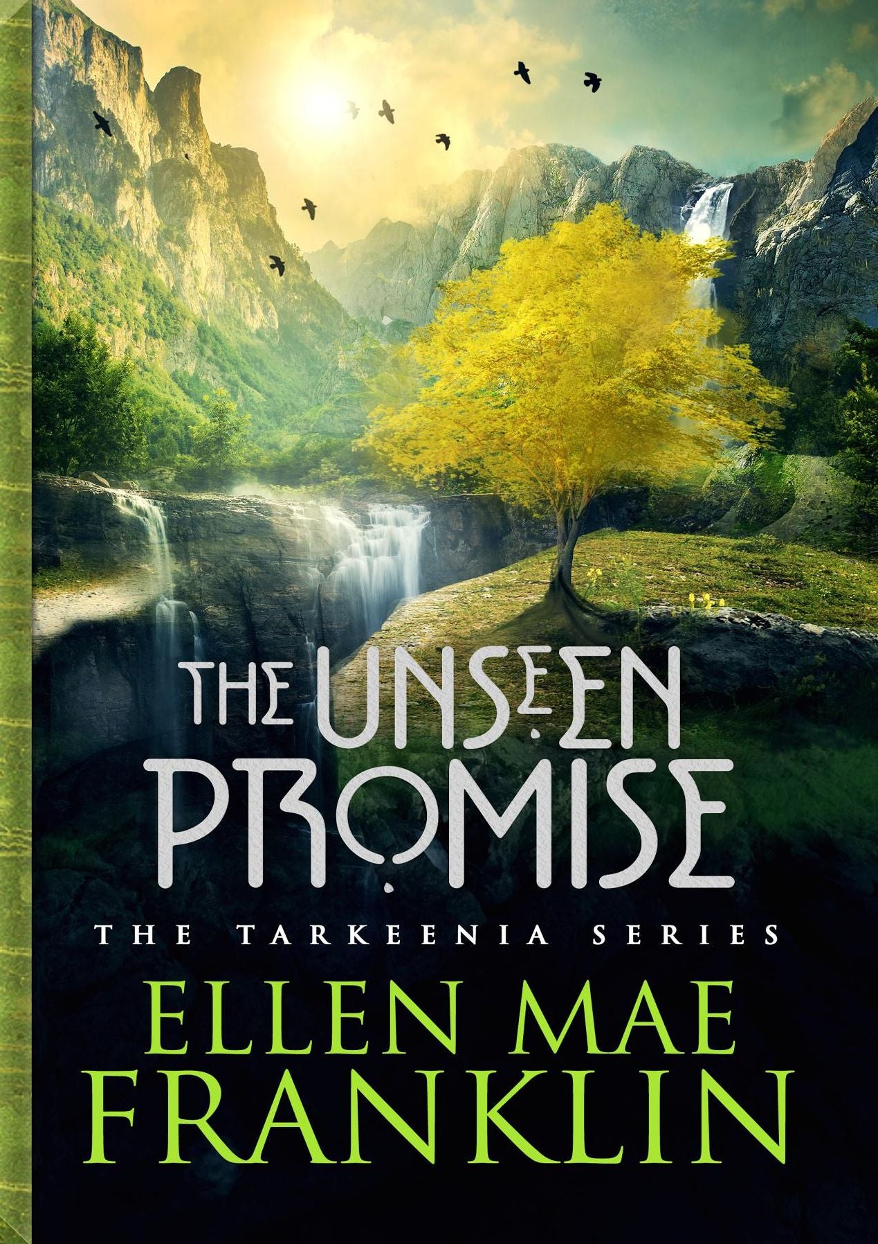 The Unseen Promise