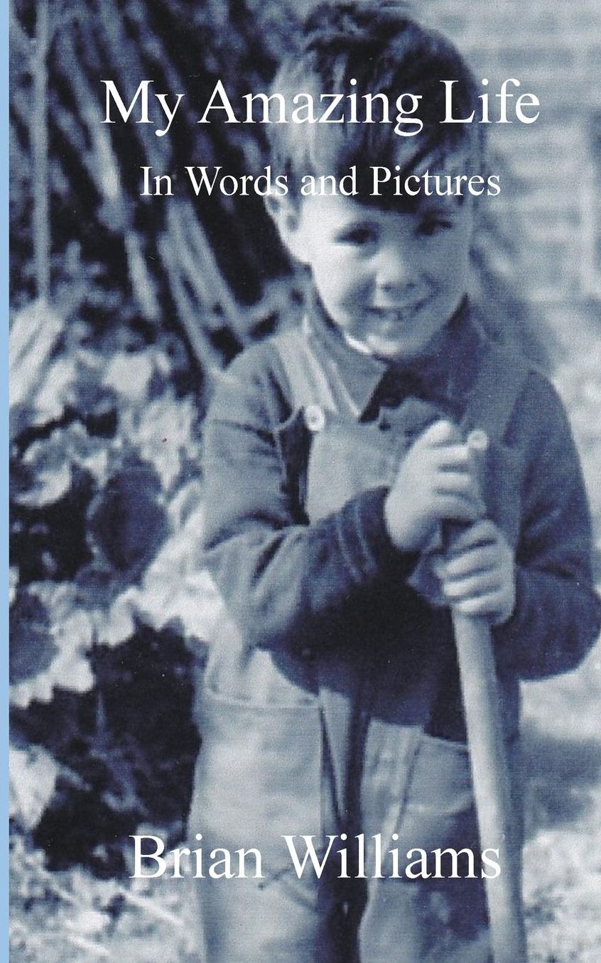 My Amazing Life: In Words and Pictures