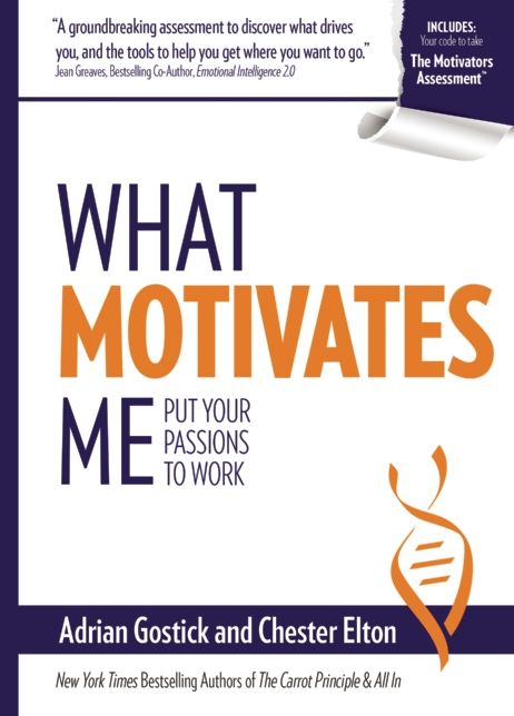 What Motivates Me: Put Your Passions to Work