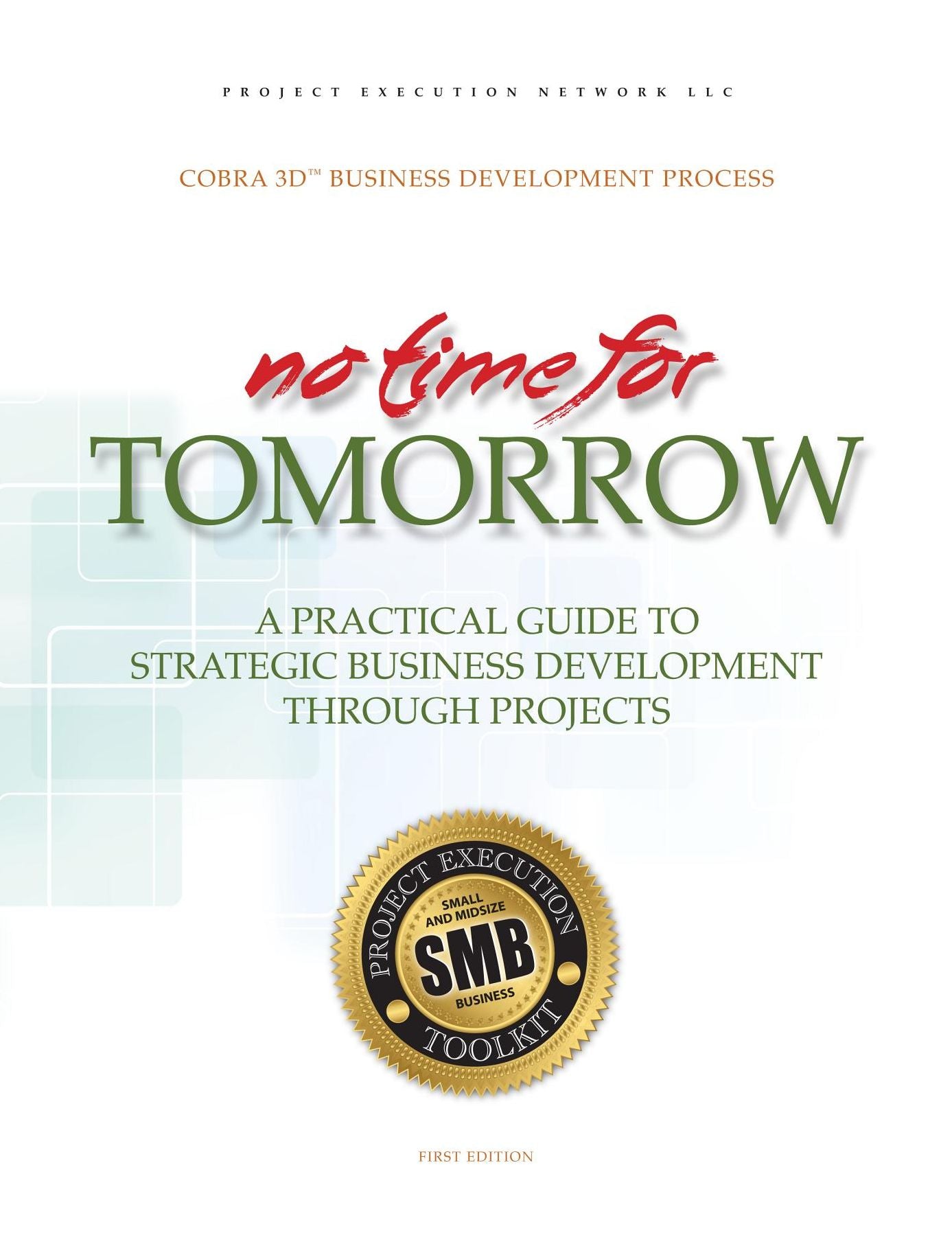 No Time for Tomorrow: A Practical Guide to Strategic Business Development Through Projects
