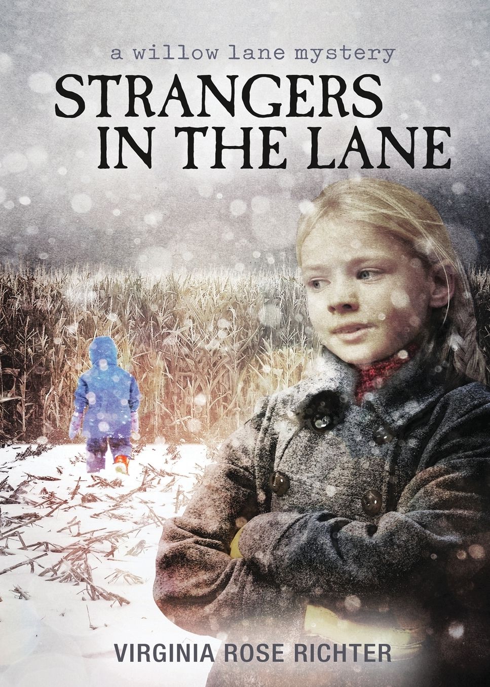 Strangers In The Lane: (A Willow Lane Mystery, #2)