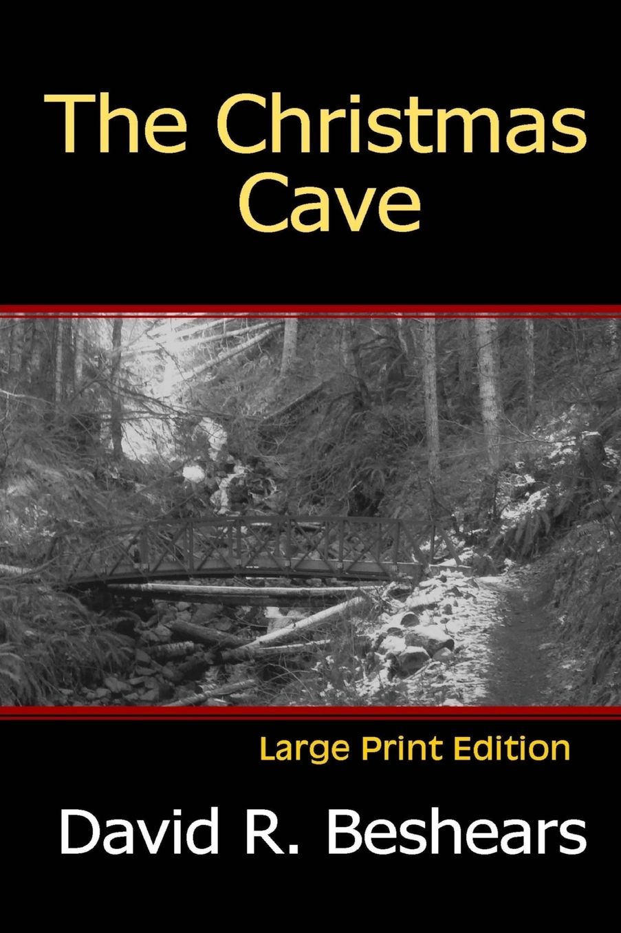 The Christmas Cave - LPE: Large Print Edition