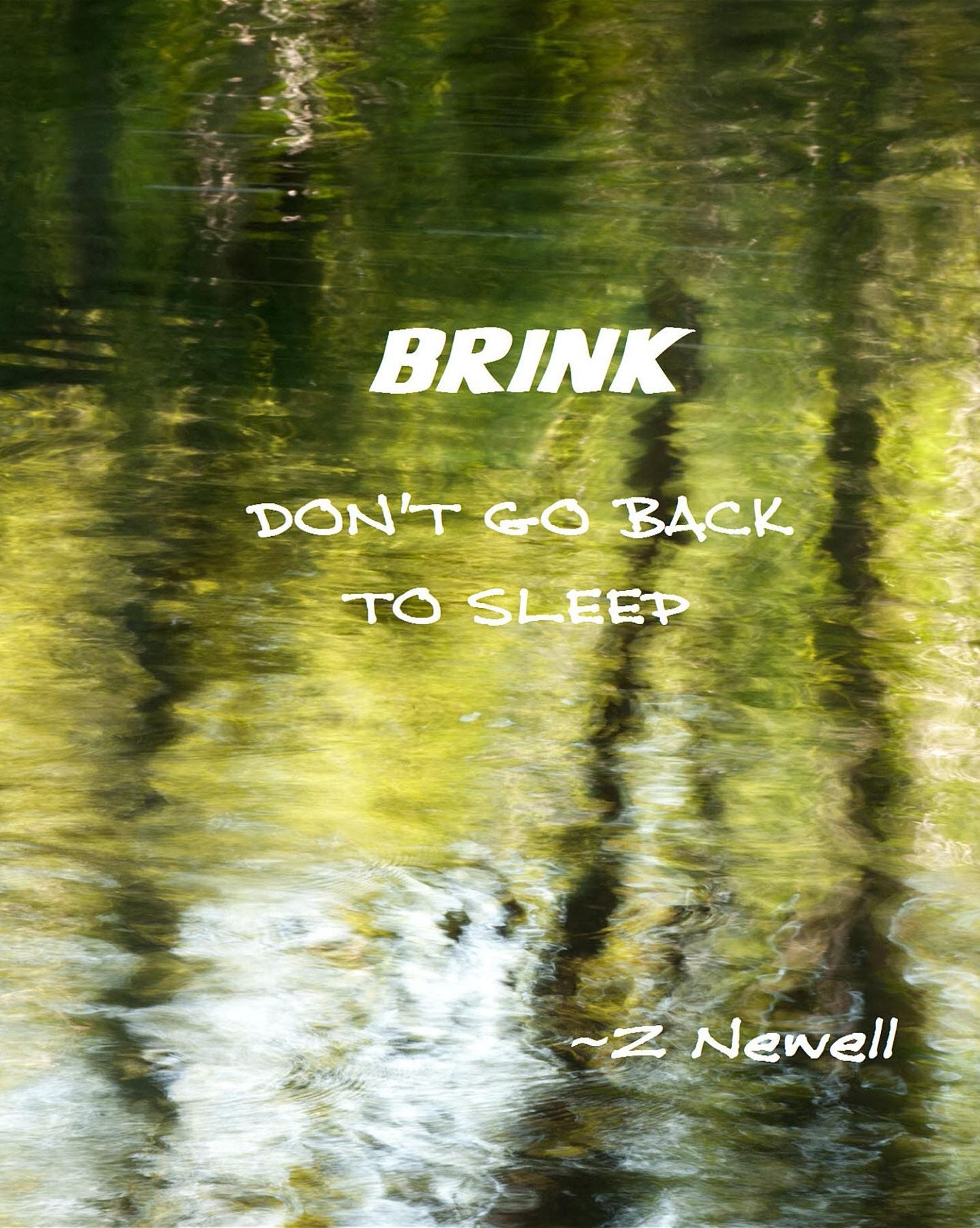 BRINK: Don't Go Back to Sleep