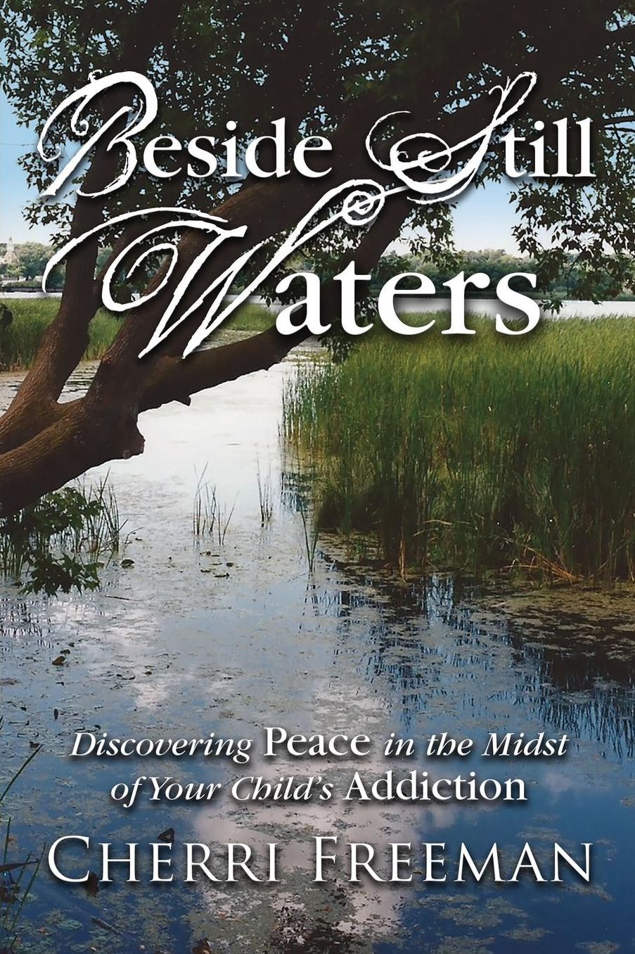 Beside Still Waters: Discovering Peace in the Midst of Your Child's Addiction