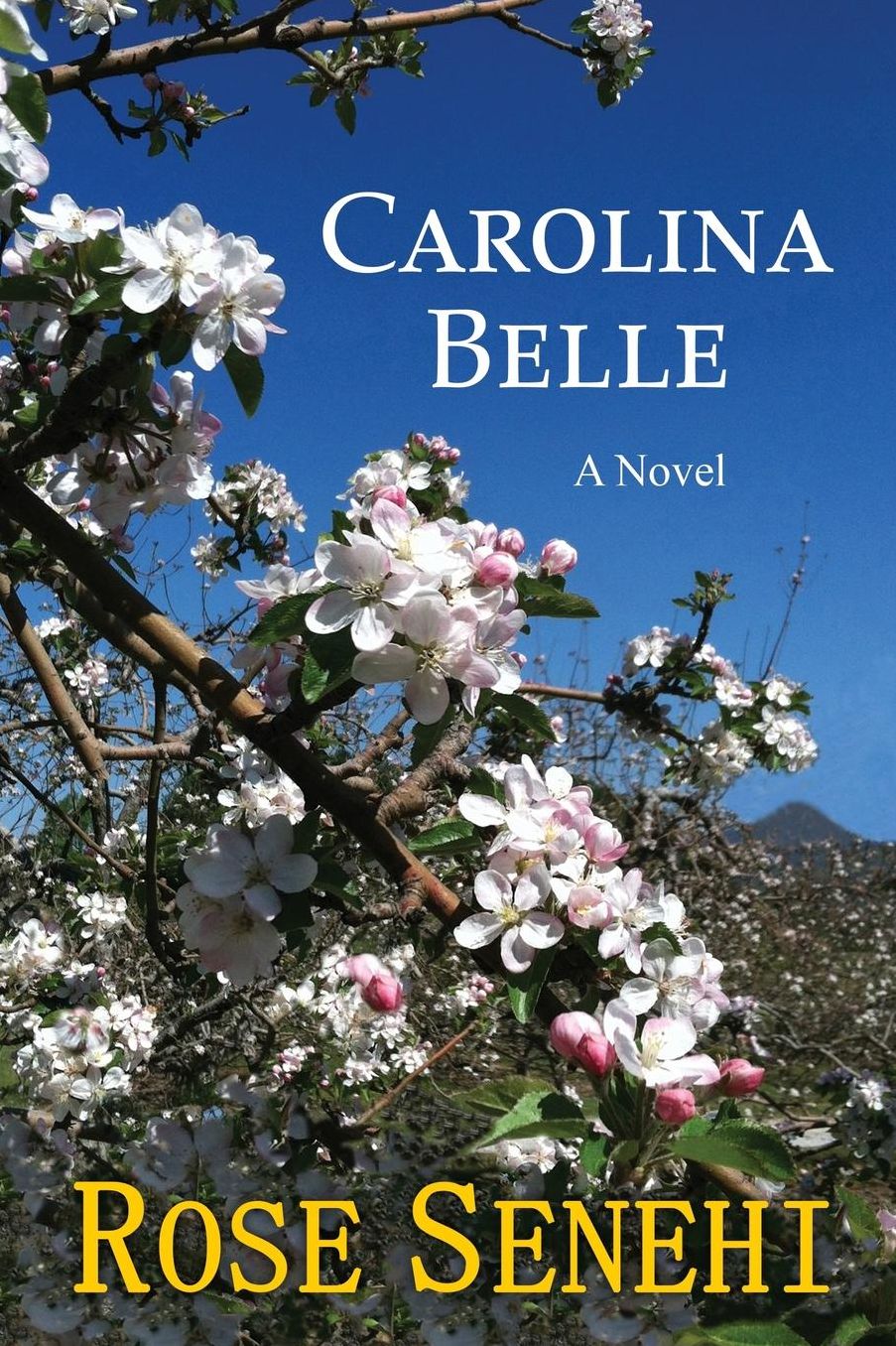 CAROLINA BELLE: A NOVEL
