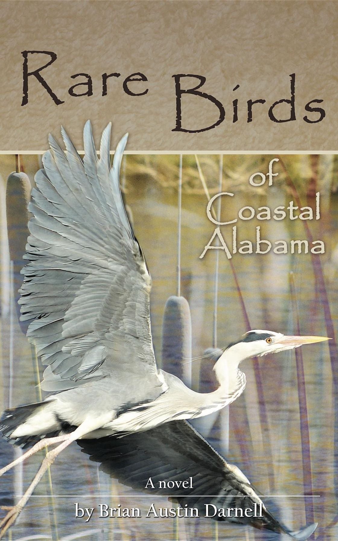Rare Birds of Coastal Alabama