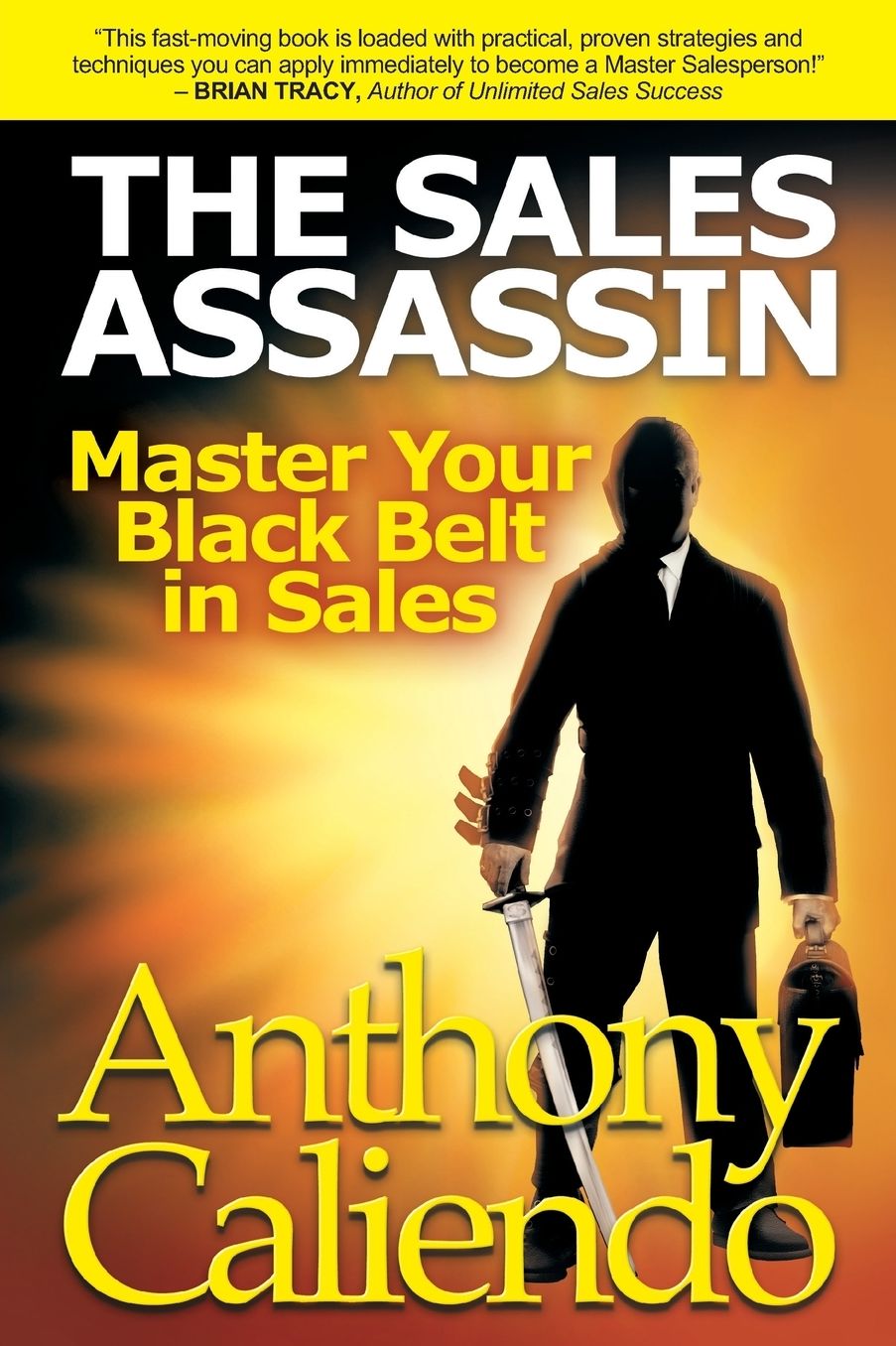 The Sales Assassin: Master Your Black Belt in Sales