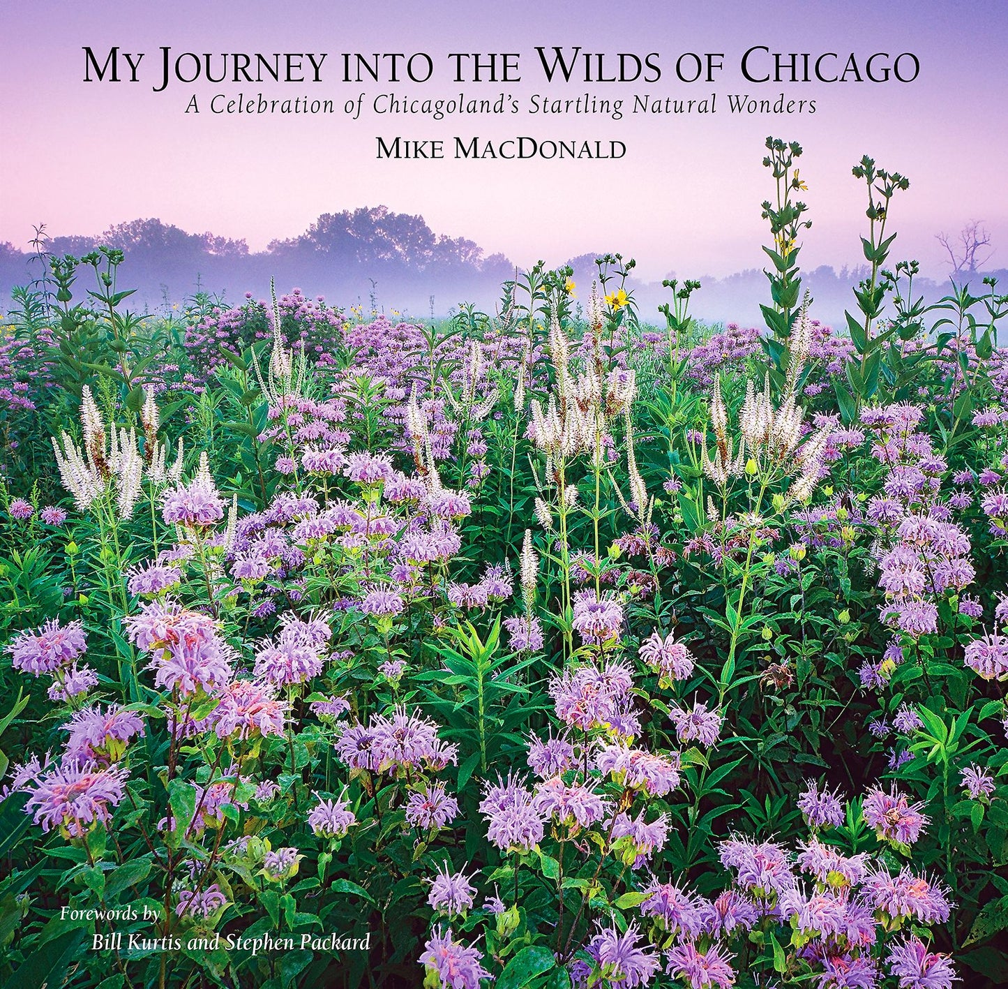 My Journey Into the Wilds of Chicago: A Celebration of Chicagoland's Startling Natural Wonders