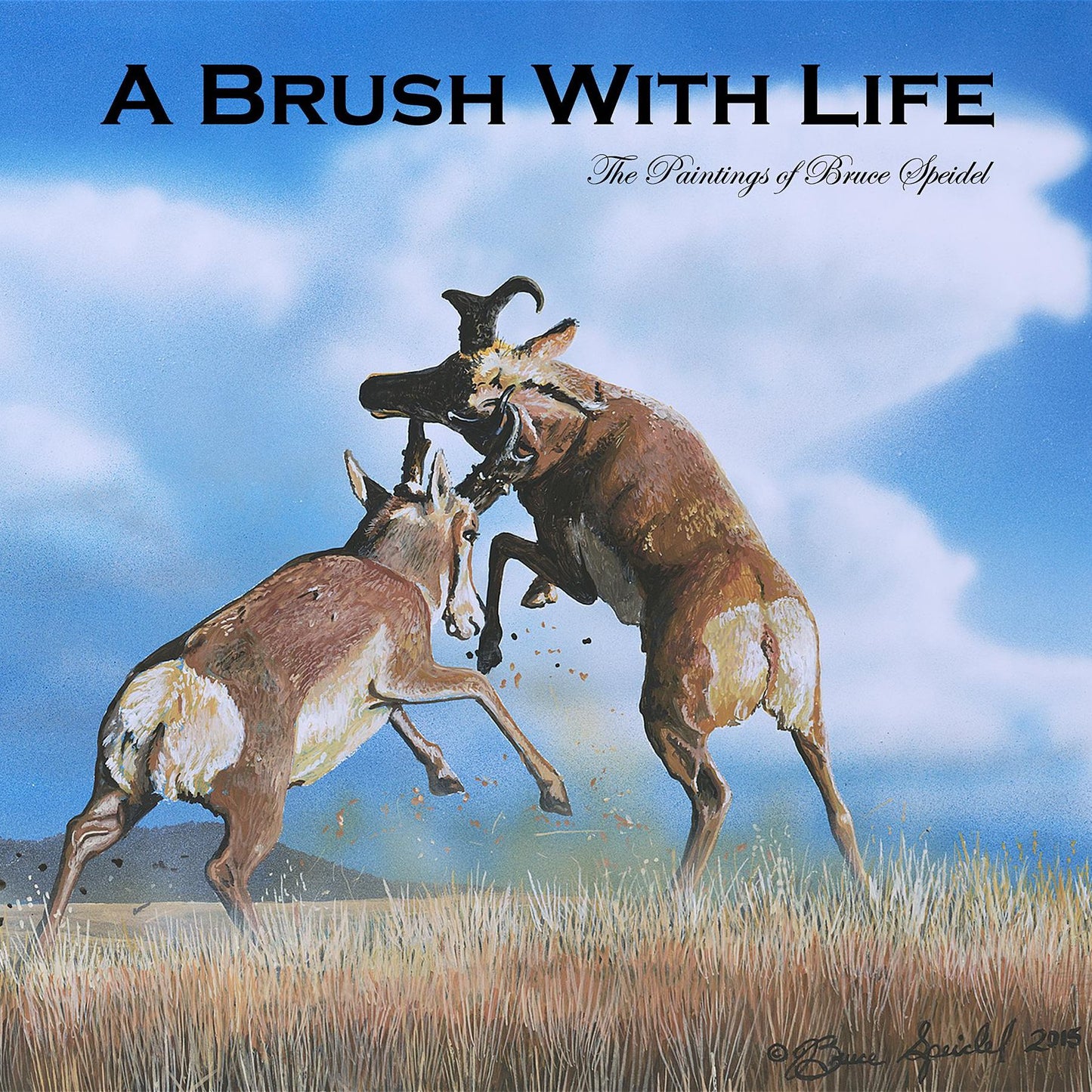 A Brush With Life: The Paintings of Bruce Speidel