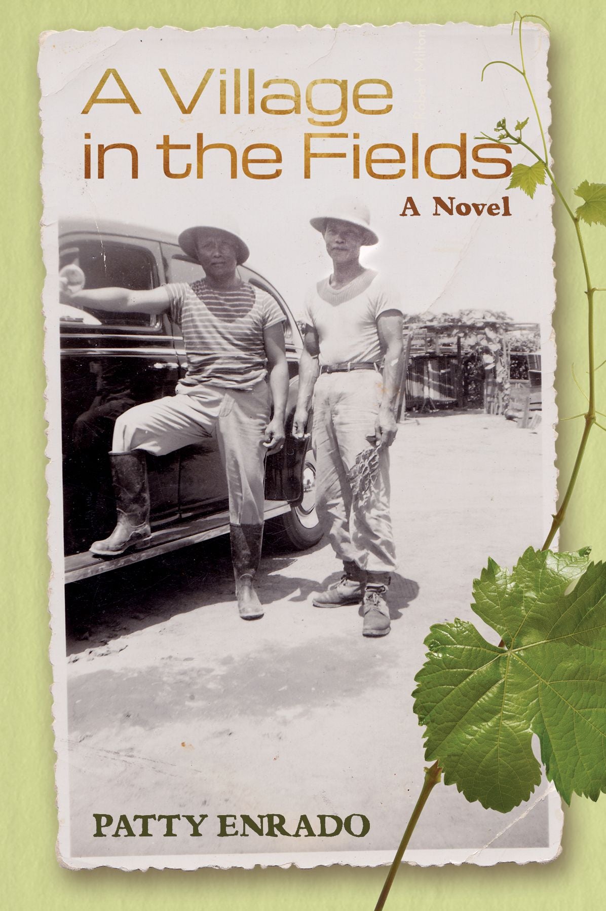 A Village in the Fields, A Novel