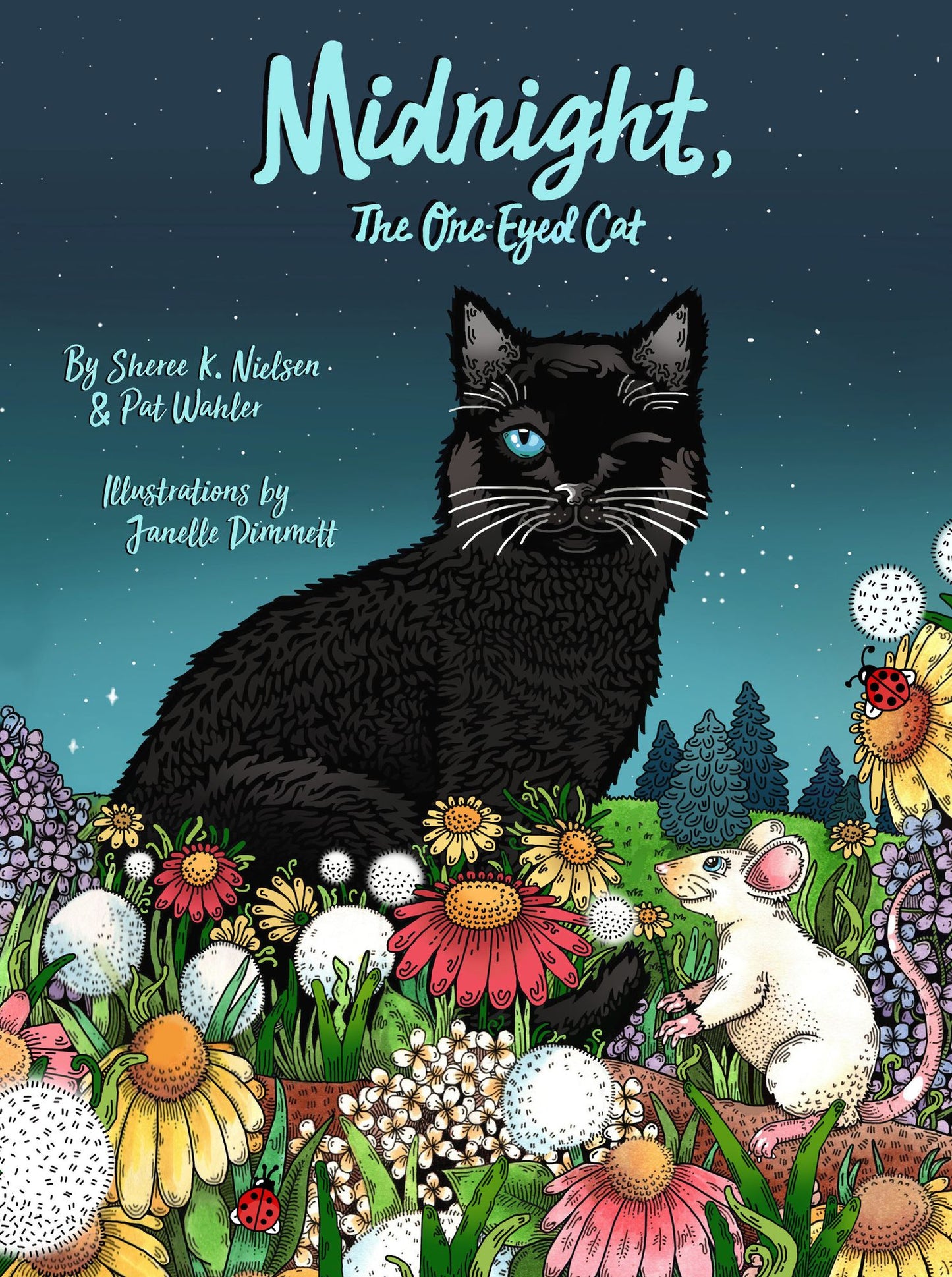 Midnight, the One-Eyed Cat