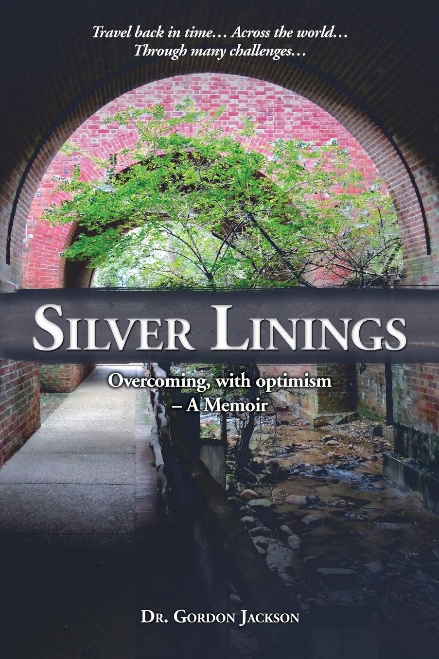 Silver Linings: Overcoming, with optimism - A Memoir