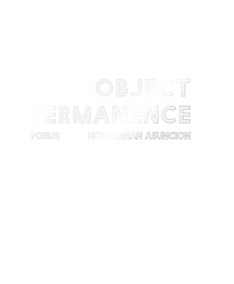 Object Permanence